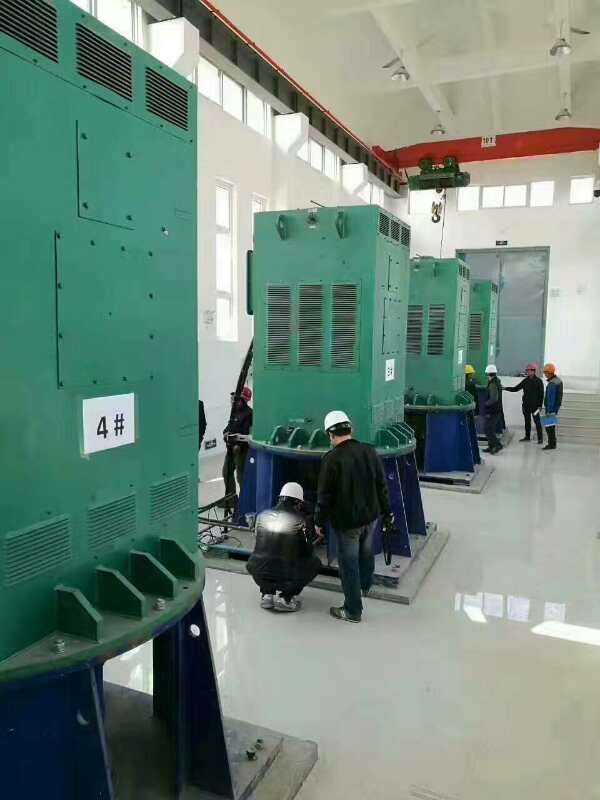 新兴镇某污水处理厂使用我厂的立式高压电机安装现场
