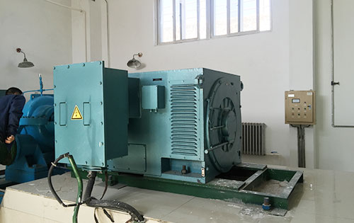 新兴镇某水电站工程主水泵使用我公司高压电机